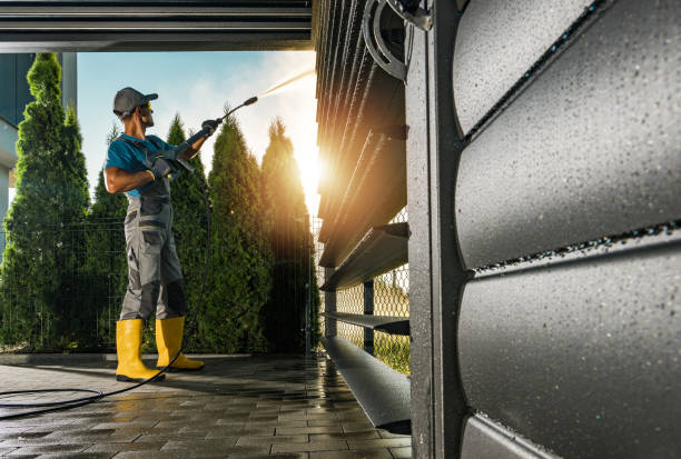Best Graffiti Removal  in Morton, PA