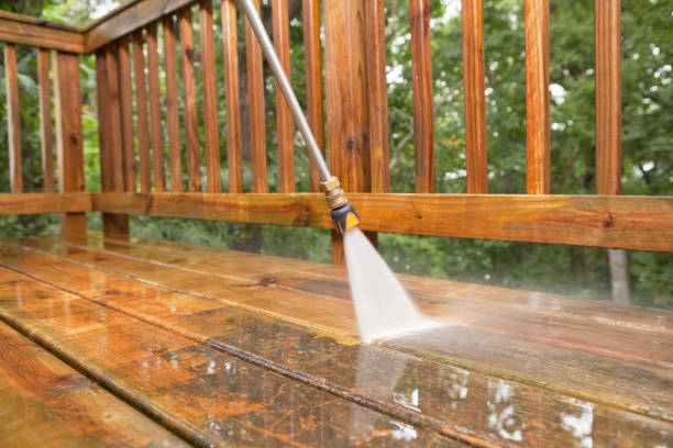 Best Gutter Cleaning  in Morton, PA
