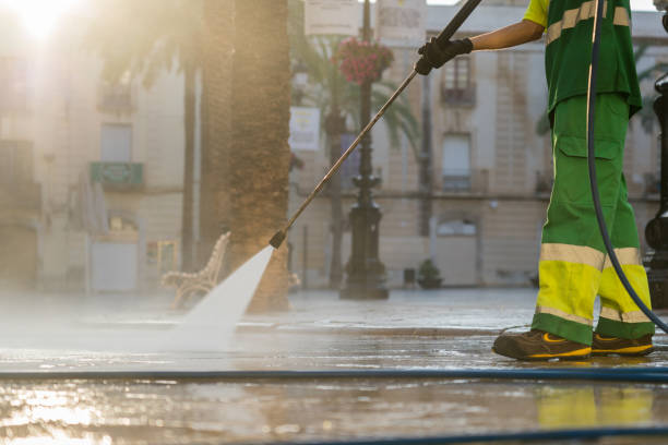 Best Building Exterior Washing  in Morton, PA